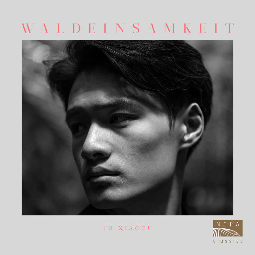 亚洲jjzzjjzz在线观看
